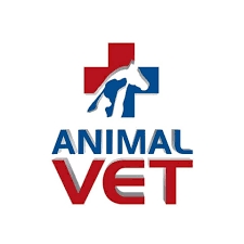 Romulo Martins De Oliveira